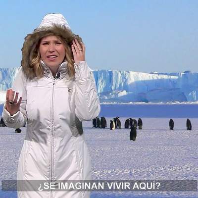 AprendoTV - Ciencias Naturales 5° y 6° básico/ Capítulo 14 AprendoTV - Ciencias Naturales 5° y 6° básico/ Capítulo 14