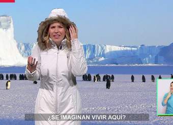 AprendoTV - Ciencias Naturales 5° y 6° básico/ Capítulo 14 AprendoTV - Ciencias Naturales 5° y 6° básico/ Capítulo 14