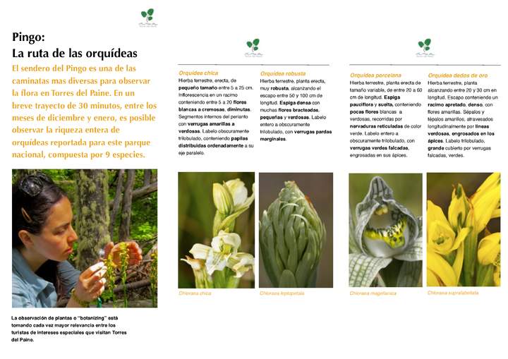 Folleto orquídeas de Torres del Paine