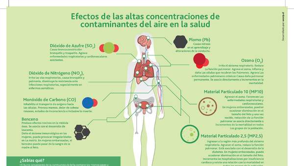 Infografía efectos en la salud contaminantes aire Infografía efectos en la salud contaminantes aire