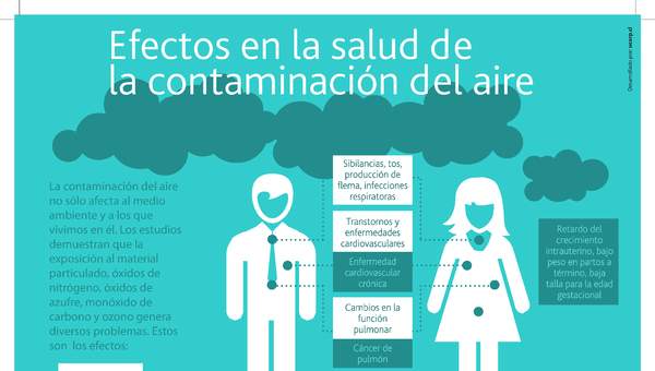 Infografía efectos en la salud contaminación del aire Infografía efectos en la salud contaminación del aire