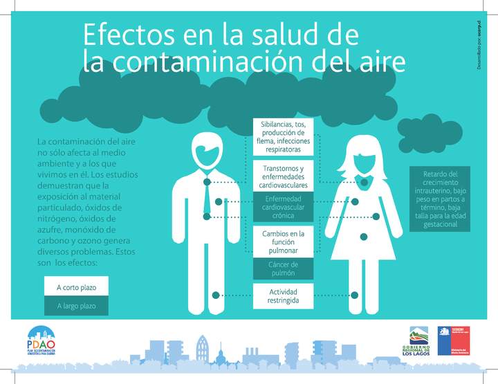 Infografía efectos en la salud contaminación del aire Infografía efectos en la salud contaminación del aire
