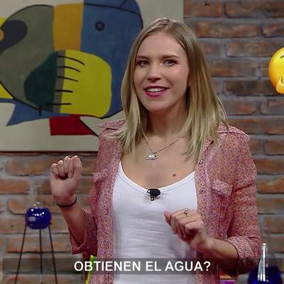 AprendoTV - Ciencias Naturales 5° y 6° básico/ Capítulo 15 AprendoTV - Ciencias Naturales 5° y 6° básico/ Capítulo 15