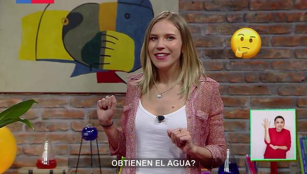 AprendoTV - Ciencias Naturales 5° y 6° básico/ Capítulo 15 AprendoTV - Ciencias Naturales 5° y 6° básico/ Capítulo 15