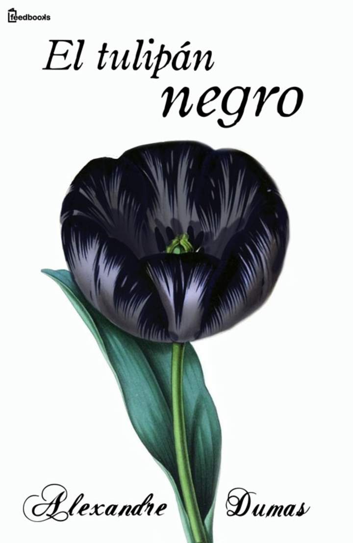 El tulipán negro
