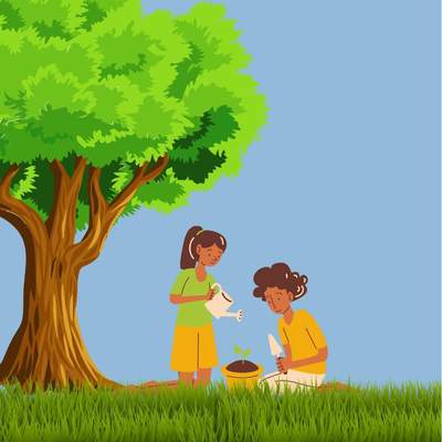 ¿Cómo crecen las plantas? ¿Cómo crecen las plantas?