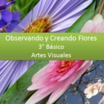 Observando y Creando Flores Observando y Creando Flores