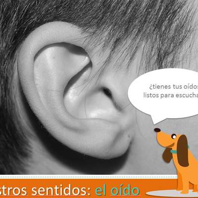 Adivina el sonido Adivina el sonido