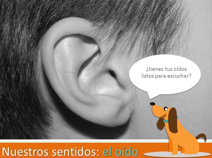 Adivina el sonido Adivina el sonido