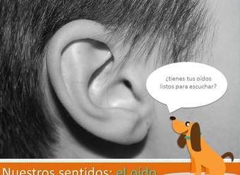 Adivina el sonido Adivina el sonido