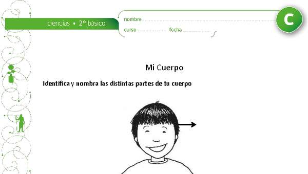 Partes del cuerpo humano Partes del cuerpo humano