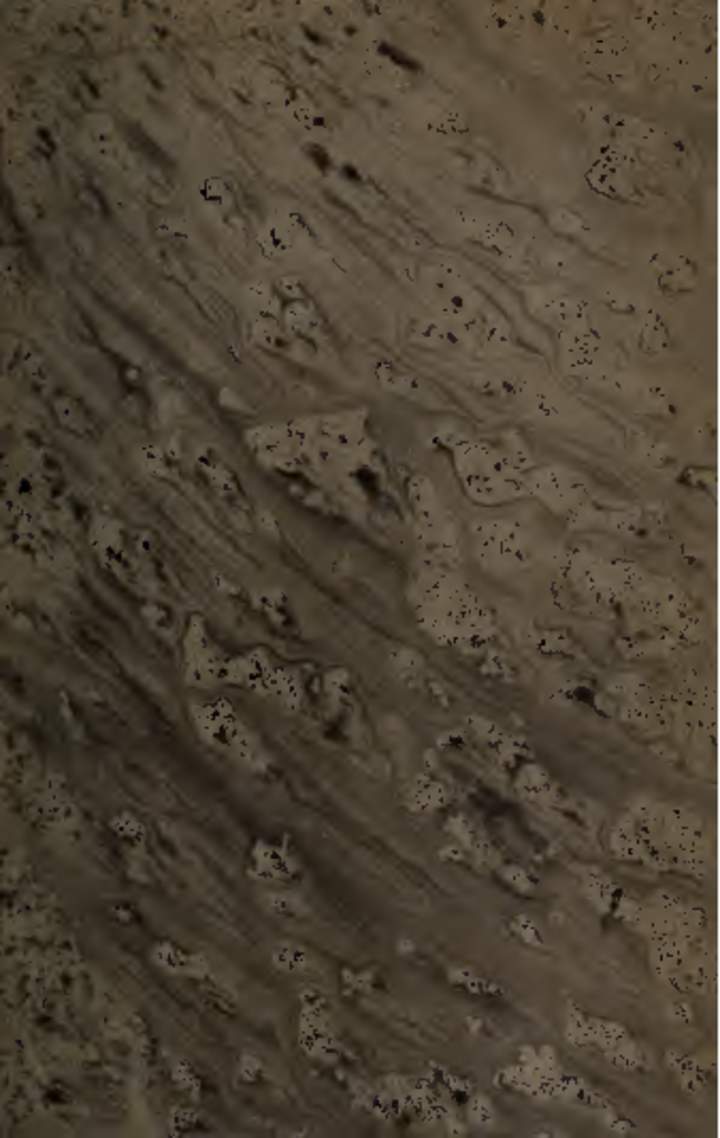 El mundo es un pañuelo