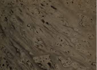 El mundo es un pañuelo