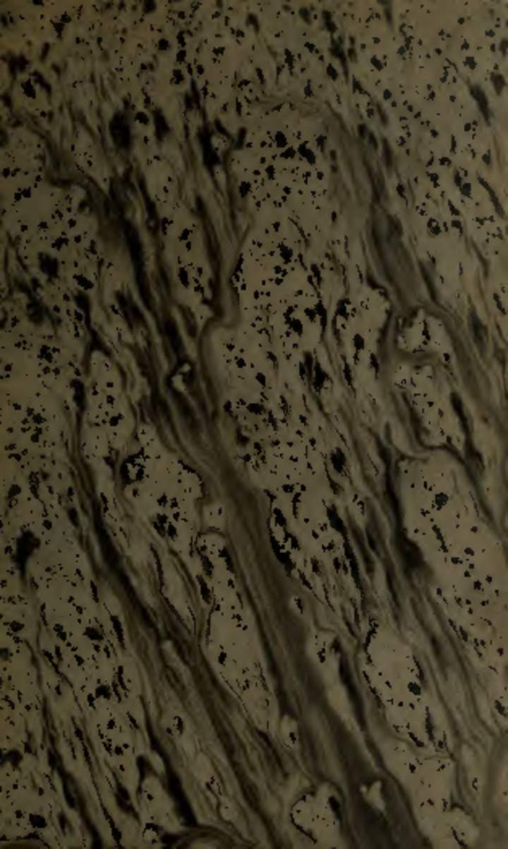 Puebla de las mujeres