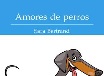 Amores de perros