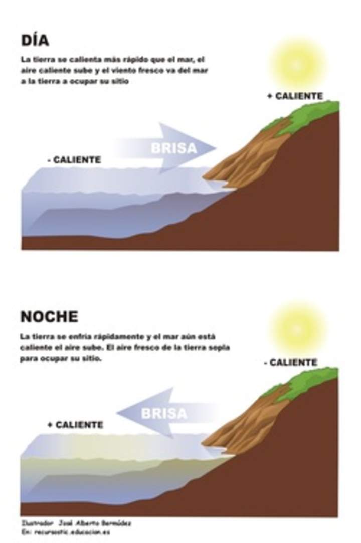 Brisa marina día y noche Brisa marina día y noche