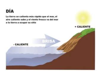 Brisa marina día y noche Brisa marina día y noche