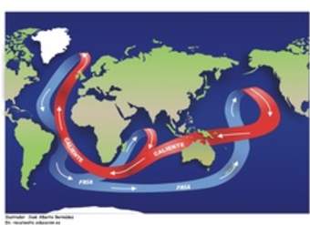 Corrientes oceánicas Corrientes oceánicas