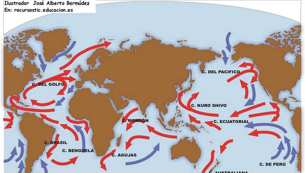 Corrientes marinas Corrientes marinas