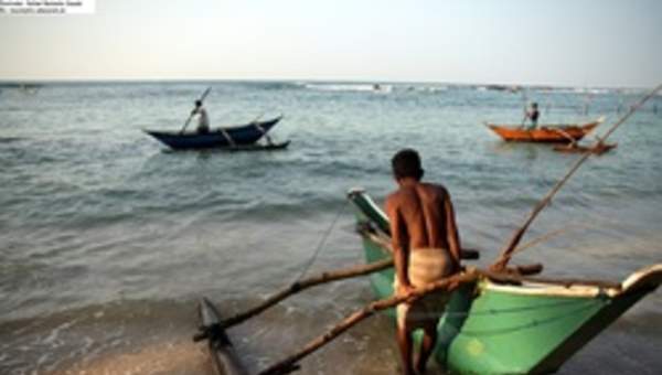Catamaranes saliendo a la mar