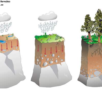 Formación de suelo Formación de suelo