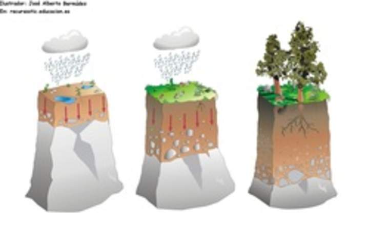 Formación de suelo Formación de suelo
