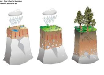 Formación de suelo Formación de suelo