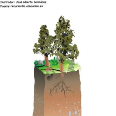 Estructura de suelo Estructura de suelo