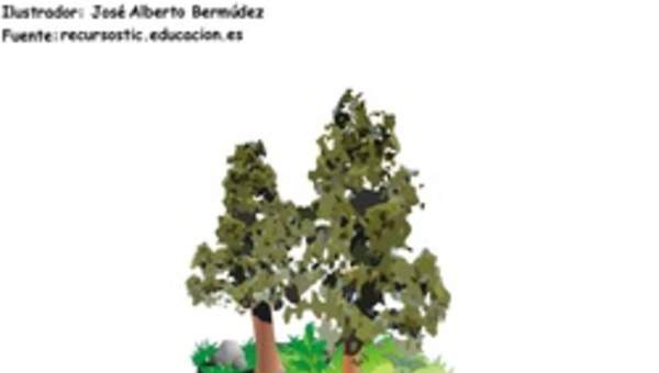 Estructura de suelo Estructura de suelo