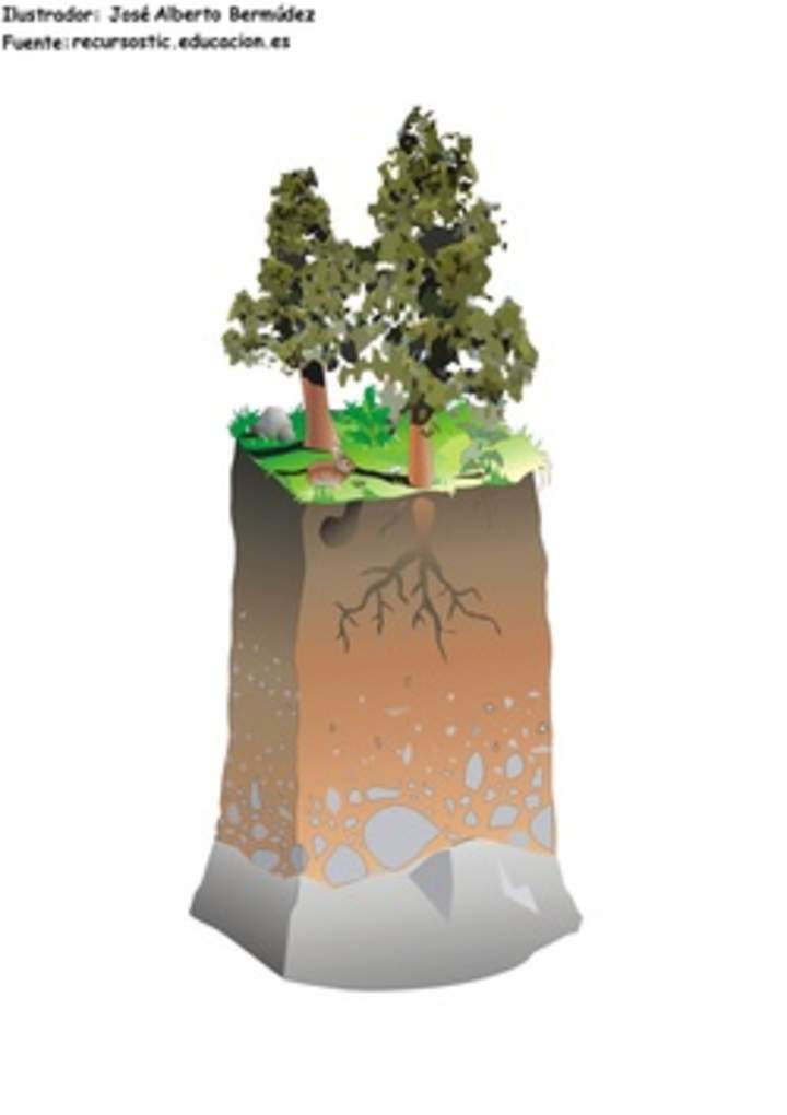 Estructura de suelo Estructura de suelo