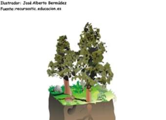 Estructura de suelo Estructura de suelo