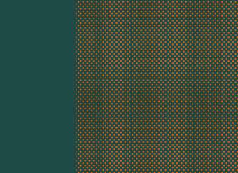 Recomendaciones para nombrar y escribir sobre Pueblos Indígenas y sus lenguas