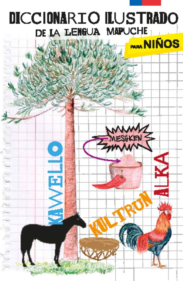 Diccionario ilustrado de la Mapuzungún para niños