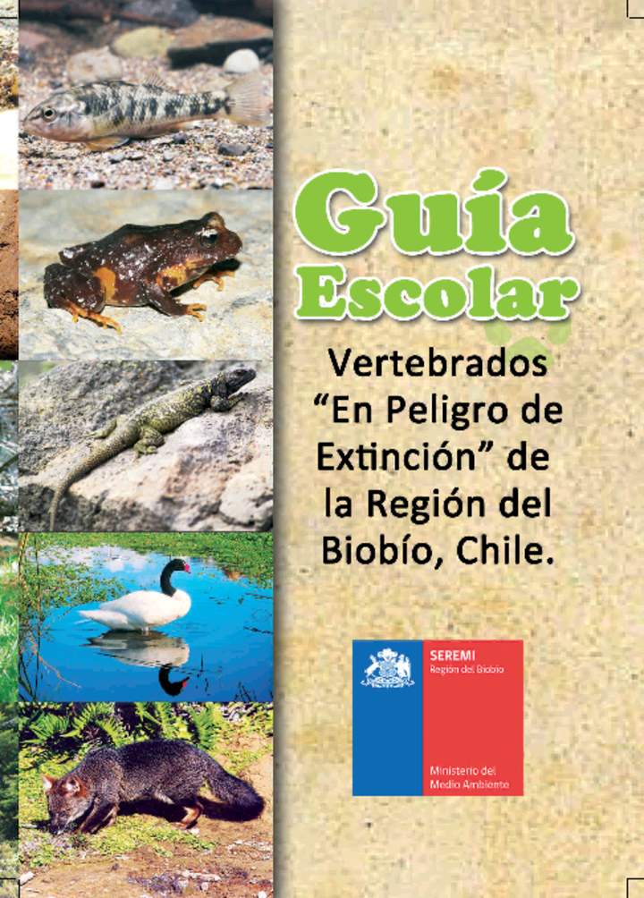 Guía escolar: vertebrados "en peligro de extinción" en la Región del Biobío, Chile