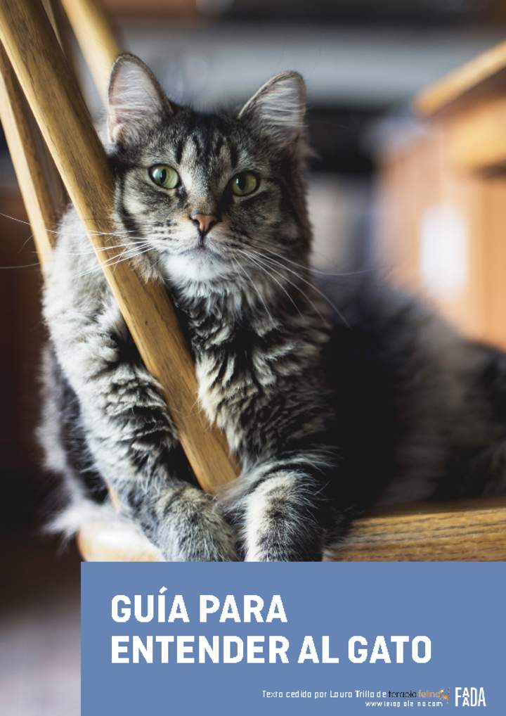 Guía para entender al gato