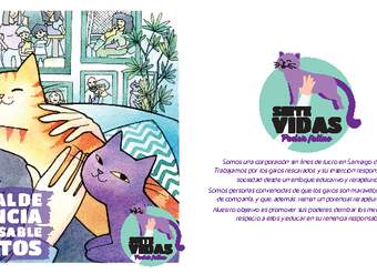 Manual de tenencia responsable de gatos