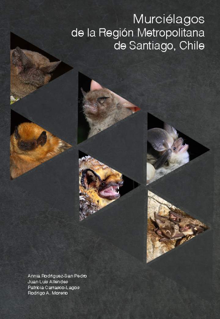 Murciélagos de la Región Metropolitana de Santiago, Chile