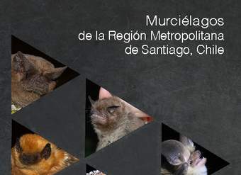 Murciélagos de la Región Metropolitana de Santiago, Chile