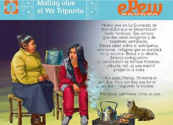 Mallay vive el We Tripantu