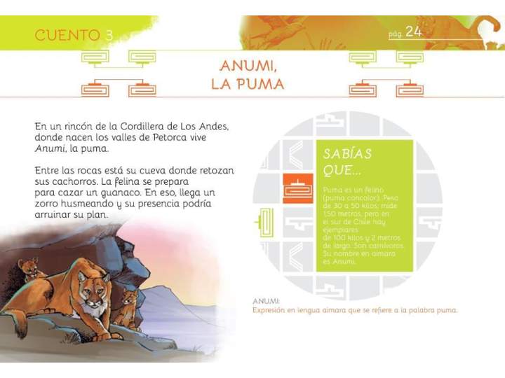 Anumi, la puma