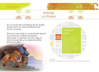 Anumi, la puma