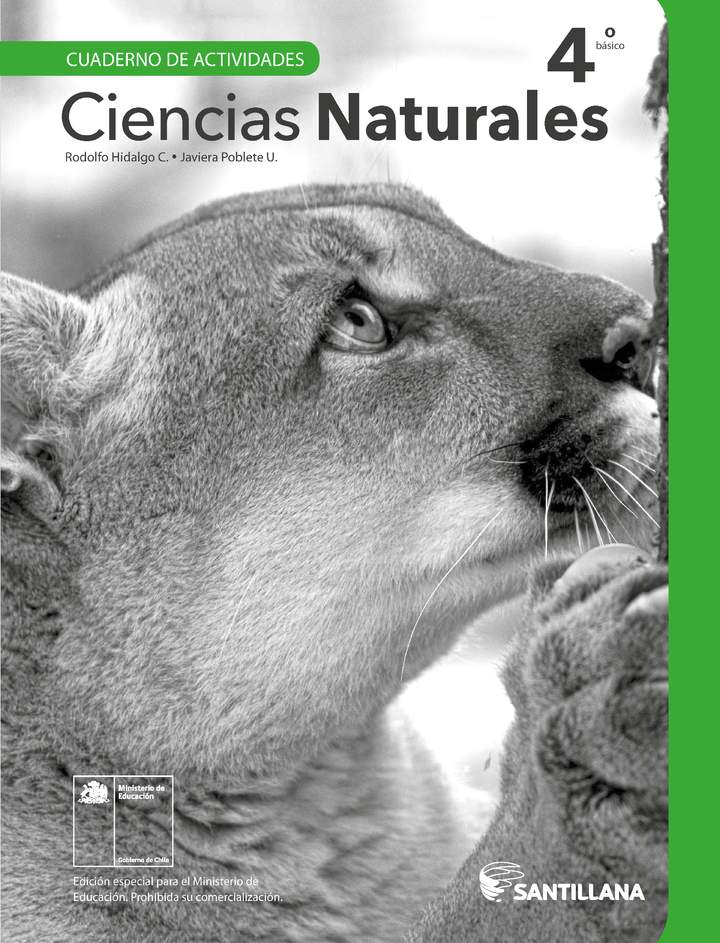 Ciencias Naturales 4° Básico, Cuaderno de actividades - Fragmento de muestra Ciencias Naturales 4° Básico, Cuaderno de actividades - Fragmento de muestra