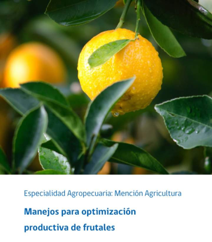 Foto Portada Foto Portada