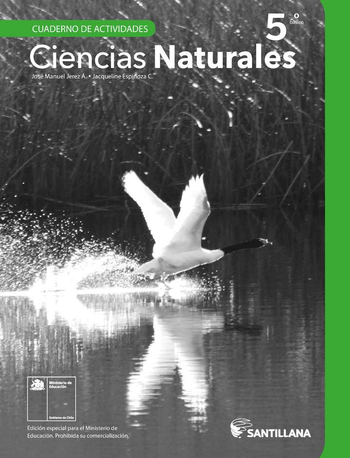 Ciencias Naturales 5° Básico, Cuaderno de actividades - Fragmento de muestra Ciencias Naturales 5° Básico, Cuaderno de actividades - Fragmento de muestra