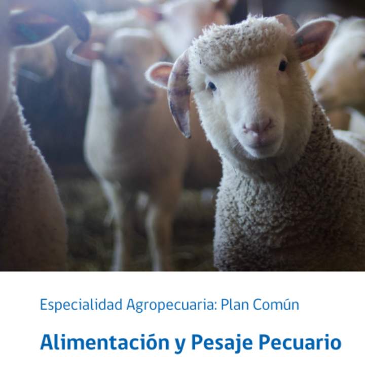 Foto Portada Foto Portada