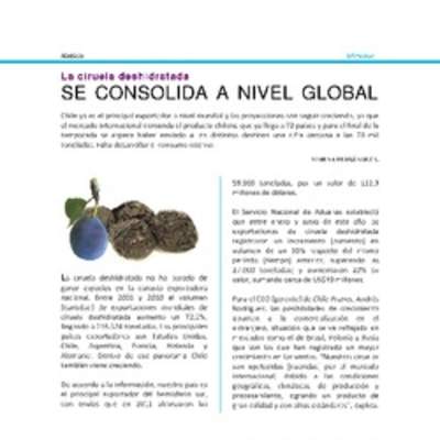 Lectura sobre la venta de ciruelas deshidratadas Lectura sobre la venta de ciruelas deshidratadas