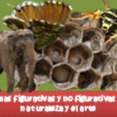 Formas figurativas y no figurativas en la naturaleza y el arte Formas figurativas y no figurativas en la naturaleza y el arte