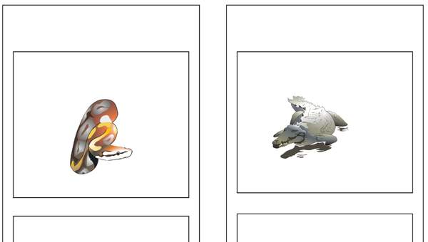 Clasificación de los reptiles Clasificación de los reptiles
