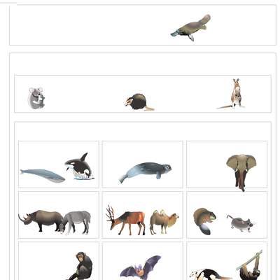 Clasificación de mamiferos Clasificación de mamiferos