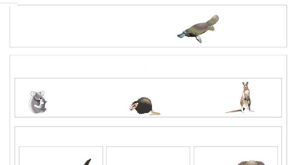 Clasificación de mamiferos Clasificación de mamiferos